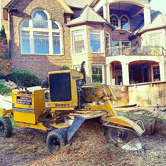 Coleman Stump Removal